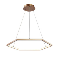 Подвесной светодиодный светильник Hexagon, 1xLED 40W, Золото и Золото (Favourite, 2103-6P)