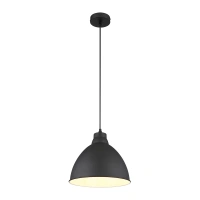 Подвесной светильник Arte Lamp BRACCIO A2055SP-1BK