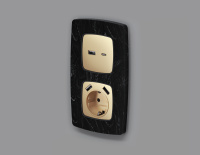 Лицевая панель OMEGA (Шампань) для розетки 2USB тип A+C QUANT (Ambrella Volt, OP6110)