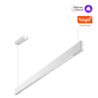 Светильник Подвесной Диммир. Со Сменой Цв. Температуры (управл. - Пульт Ду Или Прилож. Smart Life) Iter Ledo, 2xled, Белый (Novotech, 359549)