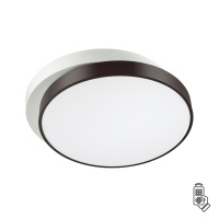 Люстра Потолочная Agatha Ledio, Led, Белый (Lumion, 4509/72cl)